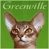 Greenville - абиссинские кошки